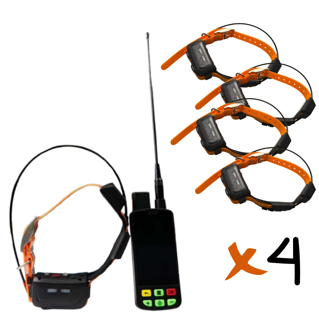 pack gps chasse – 1 télécommande tactile + 4 collier de repérage & dressage