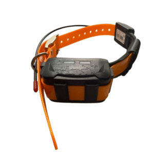 collier gps de repérage & dressage supplémentaire